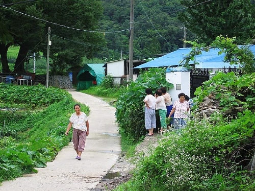 마을 아주머니들이 담에 열리 호박을 살펴보고 있다. 